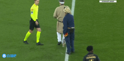 谢苏组合目