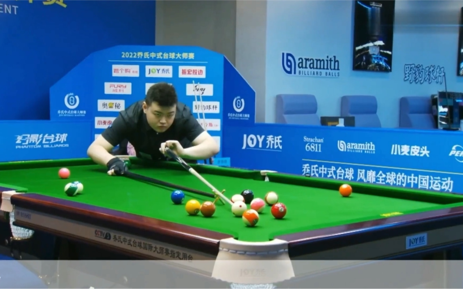 职业生涯的 职业生涯的