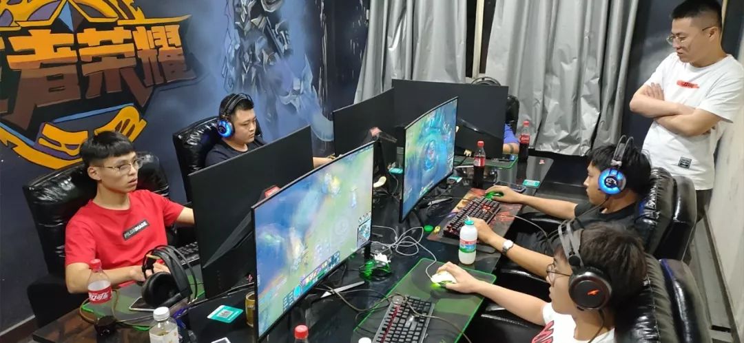 又能增强专 又能增强专